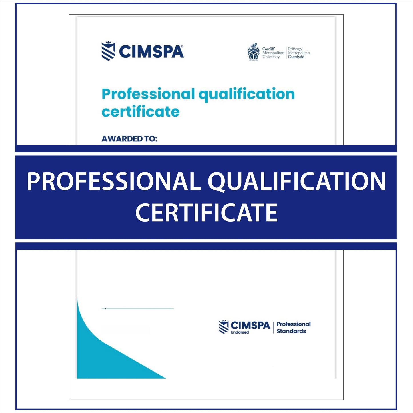 Professional qualification certificate