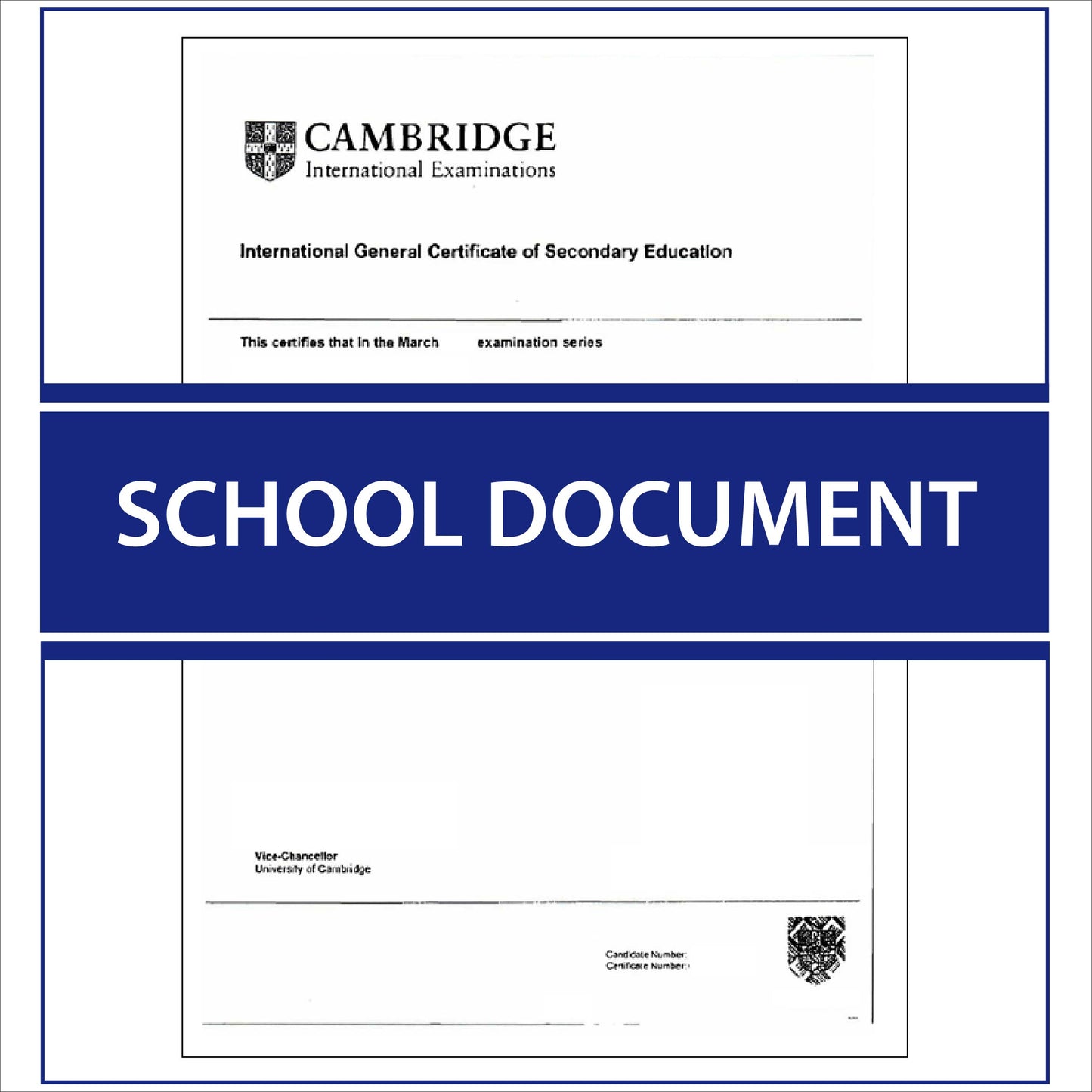 School document