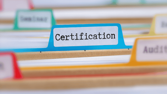 Can digital documents be used abroad, or do you still need originals?