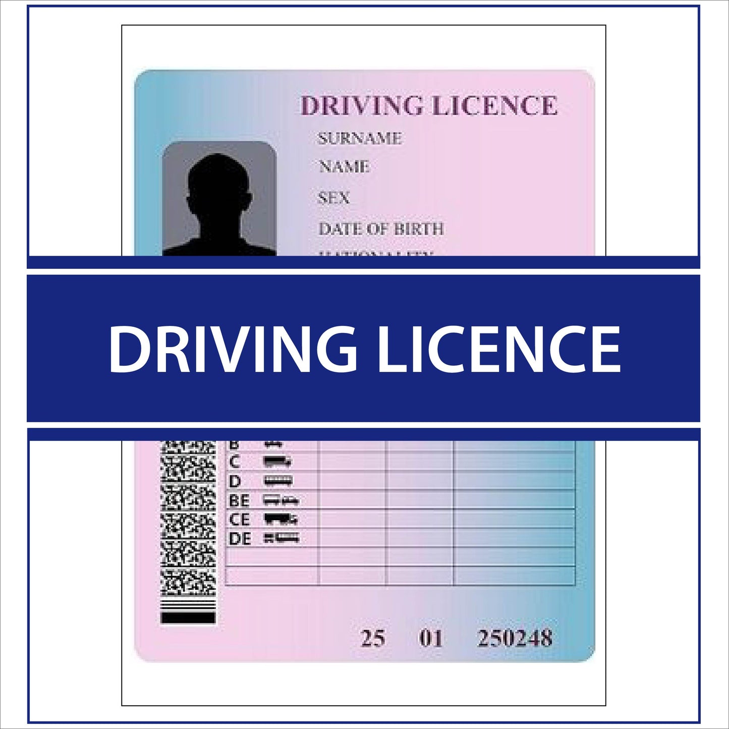 Driving licence