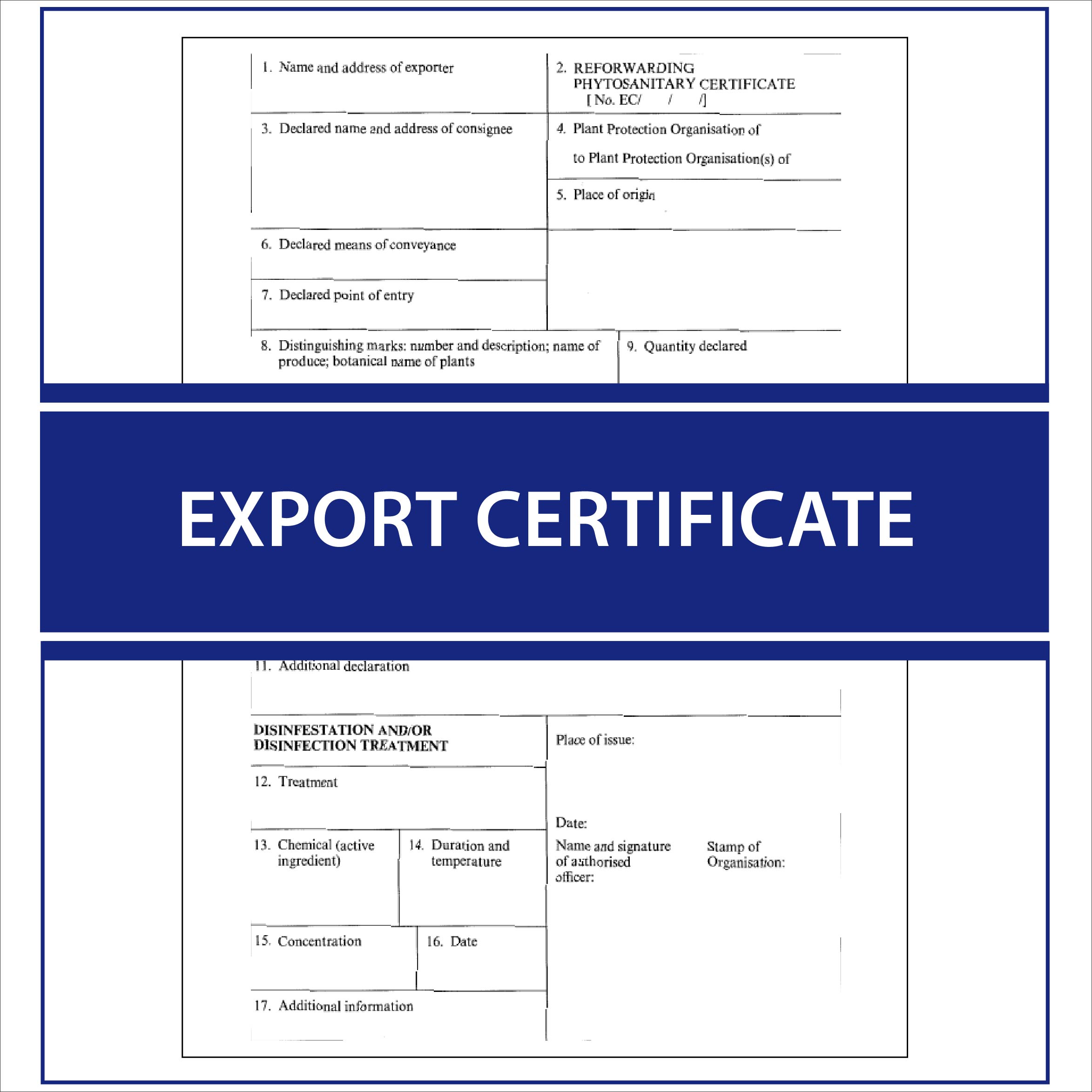 Export Certificate | Apostille Service UK – Fast Track Apostille ...