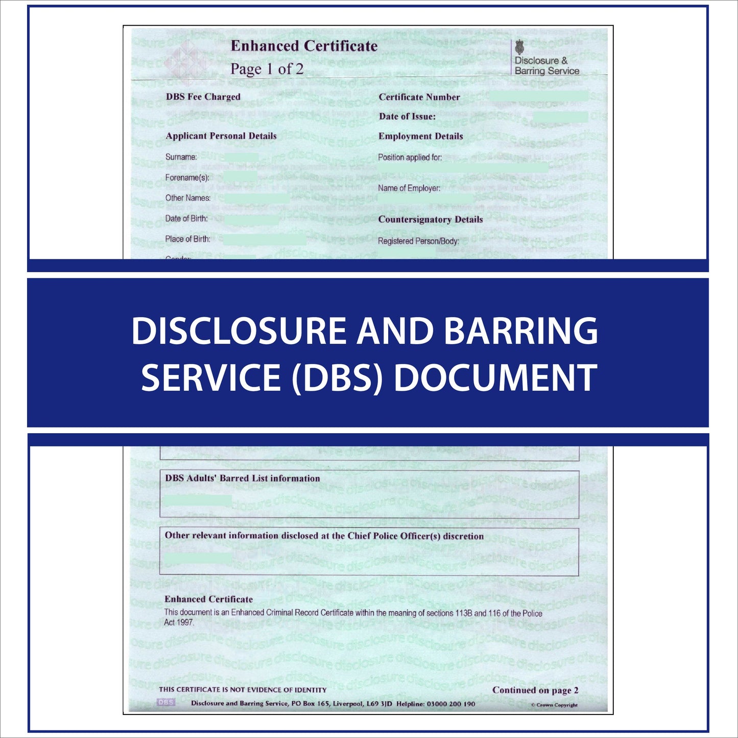 Disclosure and Barring Service (DBS) document